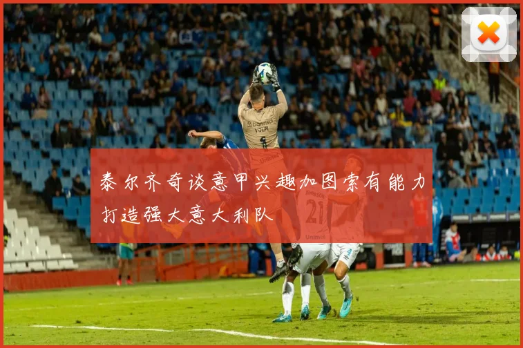 泰尔齐奇谈意甲兴趣加图索有能力打造强大意大利队
