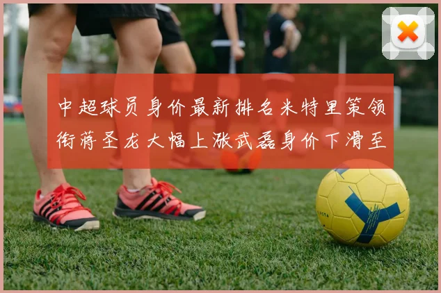 中超球员身价最新排名米特里策领衔蒋圣龙大幅上涨武磊身价下滑至50万