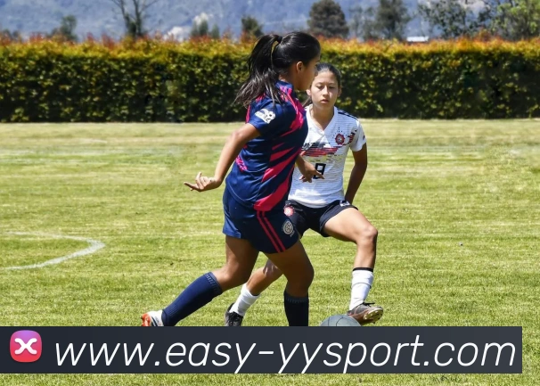 易游体育发展历程